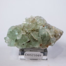 El Hammam�ۻ������ե����饤��