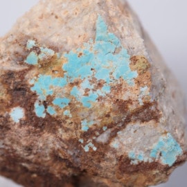 �˥塼�ᥭ������������������