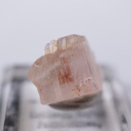 Katlang�����ȥѡ���