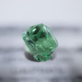 ����˥ҥ륺���������ͥå�