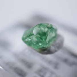 ����˥ҥ륺���������ͥå�