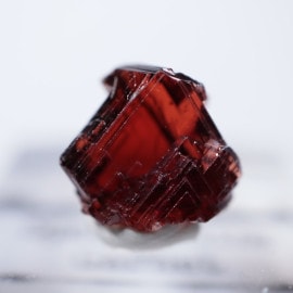 �֥饸�뻺�����ڥ���ƥ��󥬡��ͥå�