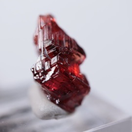 �֥饸�뻺�����ڥ���ƥ��󥬡��ͥå�