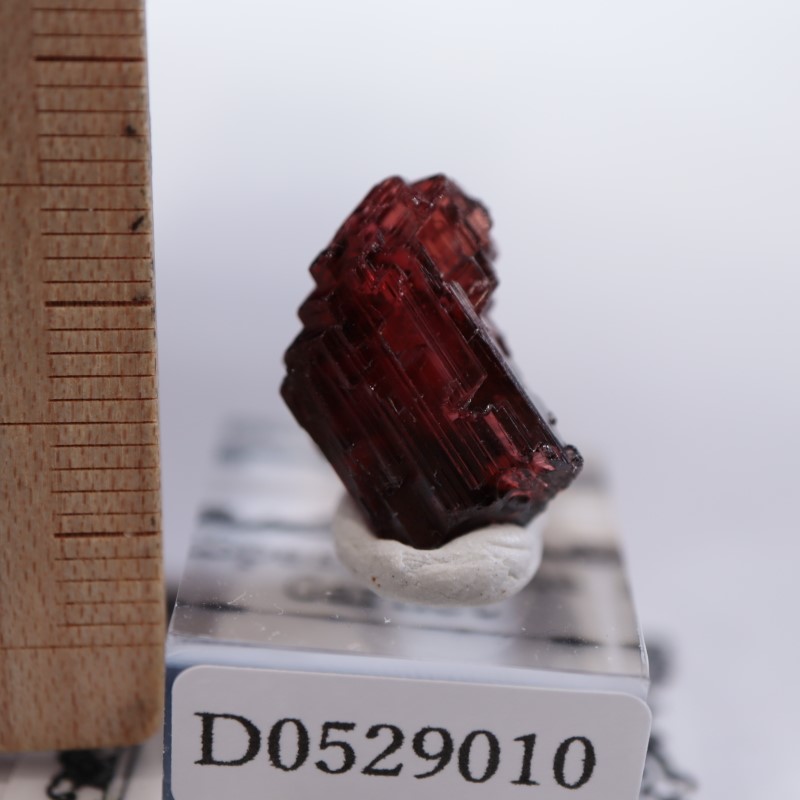 ブラジル産 スペサルティンガーネット | 鉱物標本,カ行,ガーネット