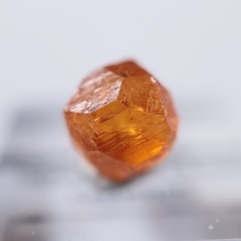 Loliond���������ͥå�