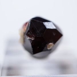 �ѥ������󻺡������ͥå�