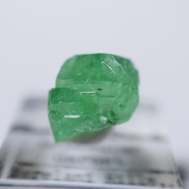 ����˥ҥ륺���������ͥå�