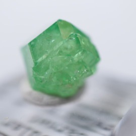 ����˥ҥ륺���������ͥå�