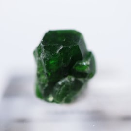 ����󻺡��ǥޥ�ȥ��ɥ����ͥå�