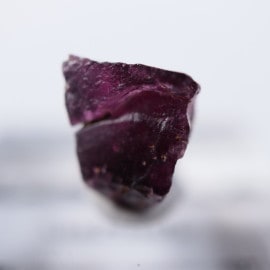 ����ꥫ���������ͥå�