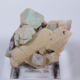 ������ɽ������С����ޥ��ʥ��ȡ���徽