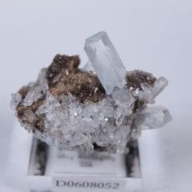 �ߥ����󽣡����쥹�ƥ���