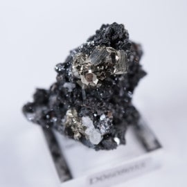 �֥륬�ꥢ�����ѥ��饤��