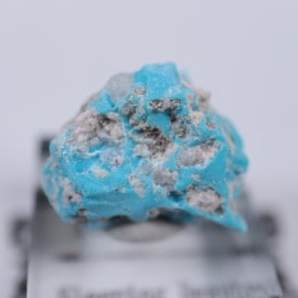 ���꡼�ԥ󥰥ӥ塼�ƥ����ۻ�������������