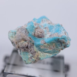 ���꡼�ԥ󥰥ӥ塼�ƥ����ۻ�������������