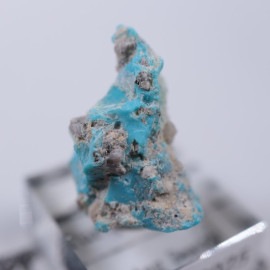 ���꡼�ԥ󥰥ӥ塼�ƥ����ۻ�������������