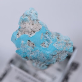 ���꡼�ԥ󥰥ӥ塼�ƥ����ۻ�������������