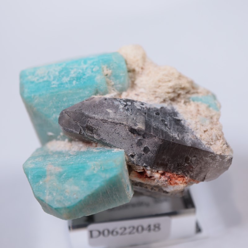 コロラド州 アマゾナイト、煙水晶 | 鉱物標本,タ行,長石グループ コロラド州 アマゾナイト、煙水晶 | 鉱物標本,タ行,長石グループ