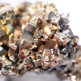 �֥륬�ꥢ�����ѥ��饤��