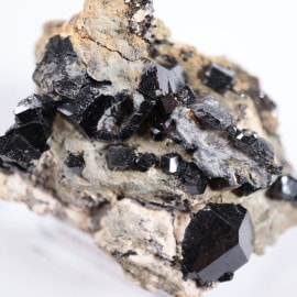 ����ե���˥��������ʥ��ȡʥ����ͥåȡ�