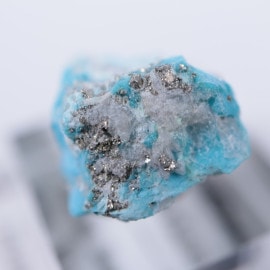 ���꡼�ԥ󥰥ӥ塼�ƥ����ۻ�������������