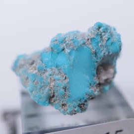 ���꡼�ԥ󥰥ӥ塼�ƥ����ۻ�������������