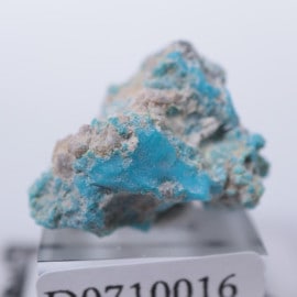 ���꡼�ԥ󥰥ӥ塼�ƥ����ۻ�������������