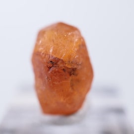 ���󥶥˥��������ڥ���ƥ��󥬡��ͥå�