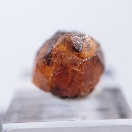 ���󥶥˥��������ڥ���ƥ��󥬡��ͥå�