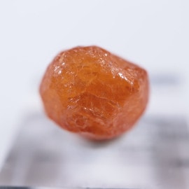 ���󥶥˥��������ڥ���ƥ��󥬡��ͥå�