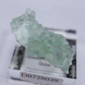 ��񻺡��ե����饤��