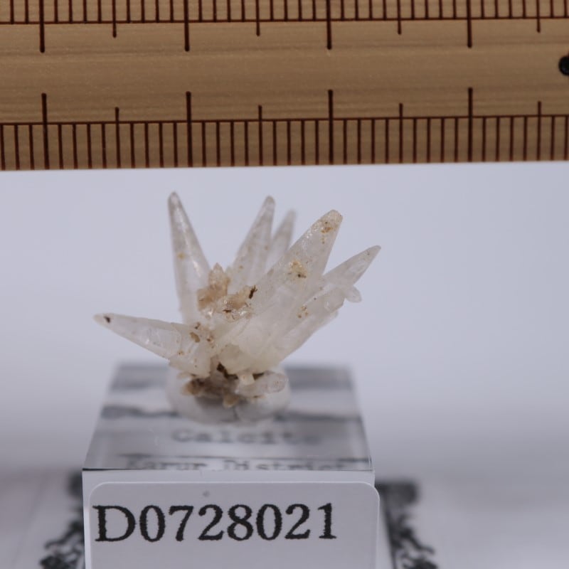 インド産 カルサイト | 鉱物標本,カ行,カルサイト/方解石