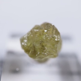 �ޥꥬ���ͥå�