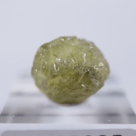 �ޥꥬ���ͥå�