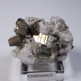 �֥륬�ꥢ�����ѥ��饤��