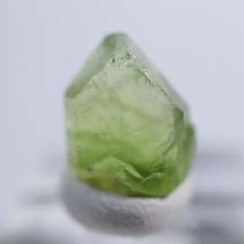 �ѥ������󻺡��ڥ�ɥå�