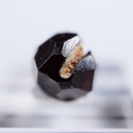 �ѥ������󻺡������ͥå�