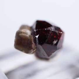 �ѥ������󻺡������ͥå�