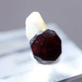 �ѥ������󻺡������ͥå�