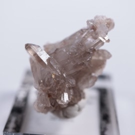 �֥饸�뻺�����⡼������������