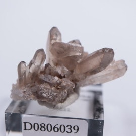 �֥饸�뻺�����⡼������������