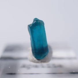 �֥饸�뻺�����ѥ�����