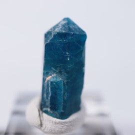 �֥饸�뻺�����ѥ�����