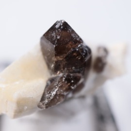 ���츩������徽