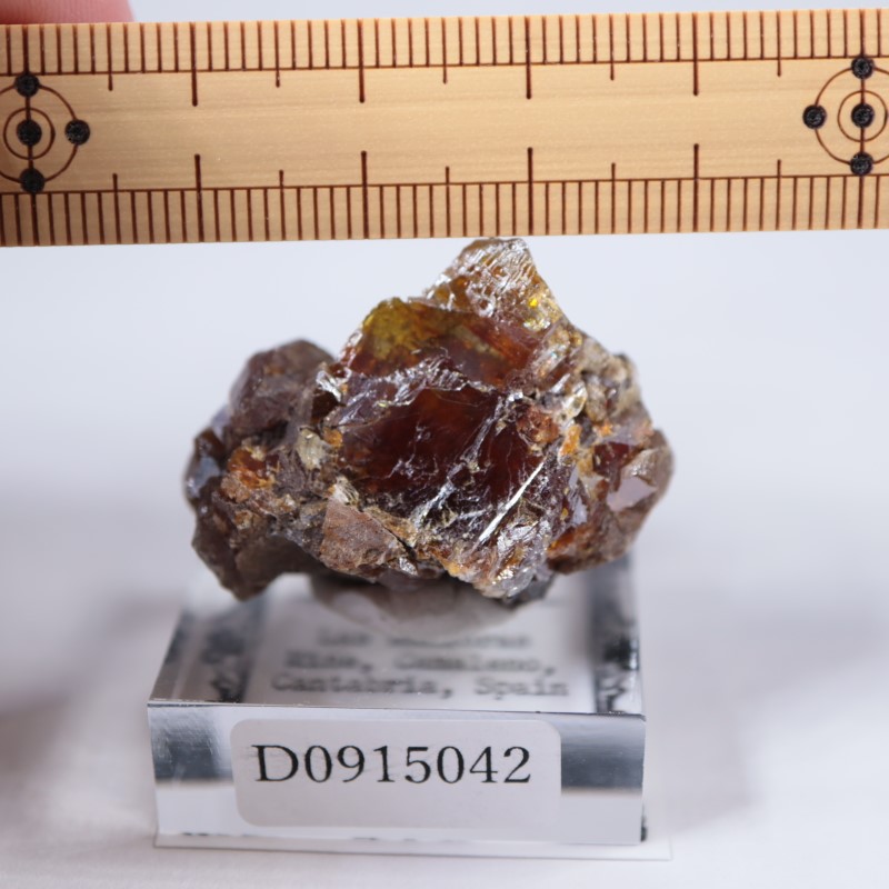 スペイン産 スファレライト | 鉱物標本,サ行,スファレライト/閃亜鉛鉱