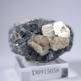 �����ꥢ�����ѥ��饤��