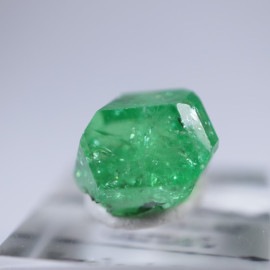 ���󥶥˥�������������顼�����ͥå�