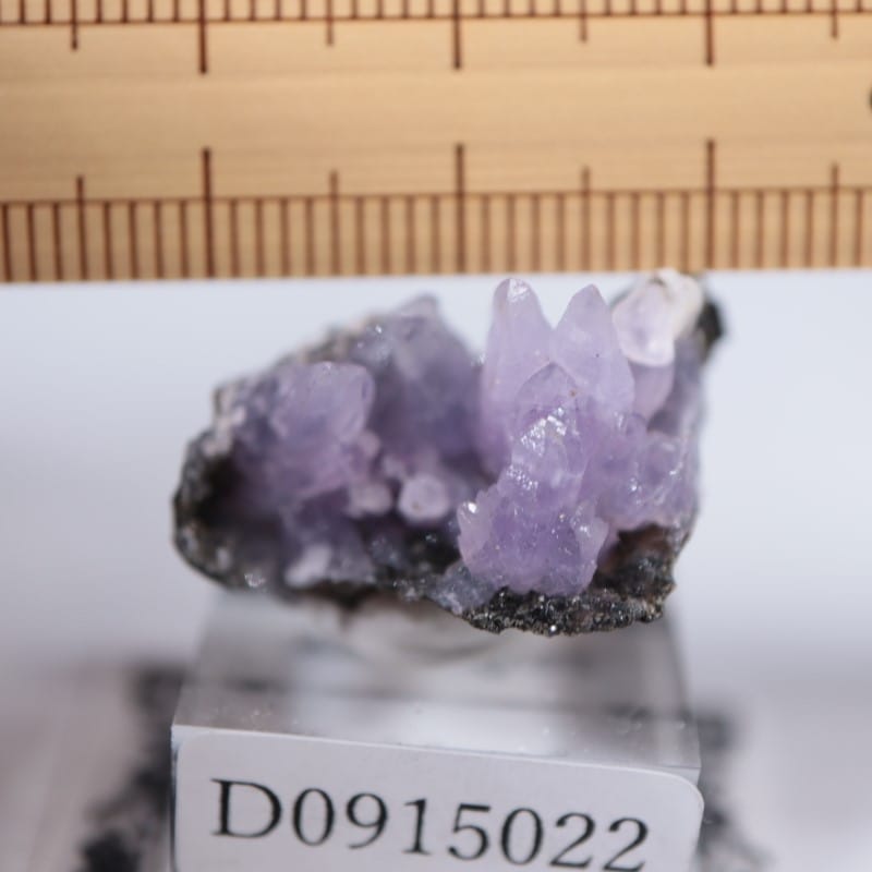 カダクワニ産 アメシスト | 鉱物標本,ア行,アメシスト/紫水晶 | ほたる