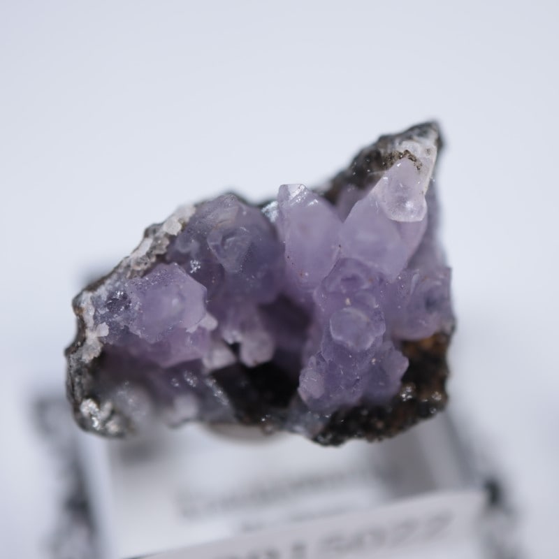 カダクワニ産 アメシスト | 鉱物標本,ア行,アメシスト/紫水晶 | ほたる