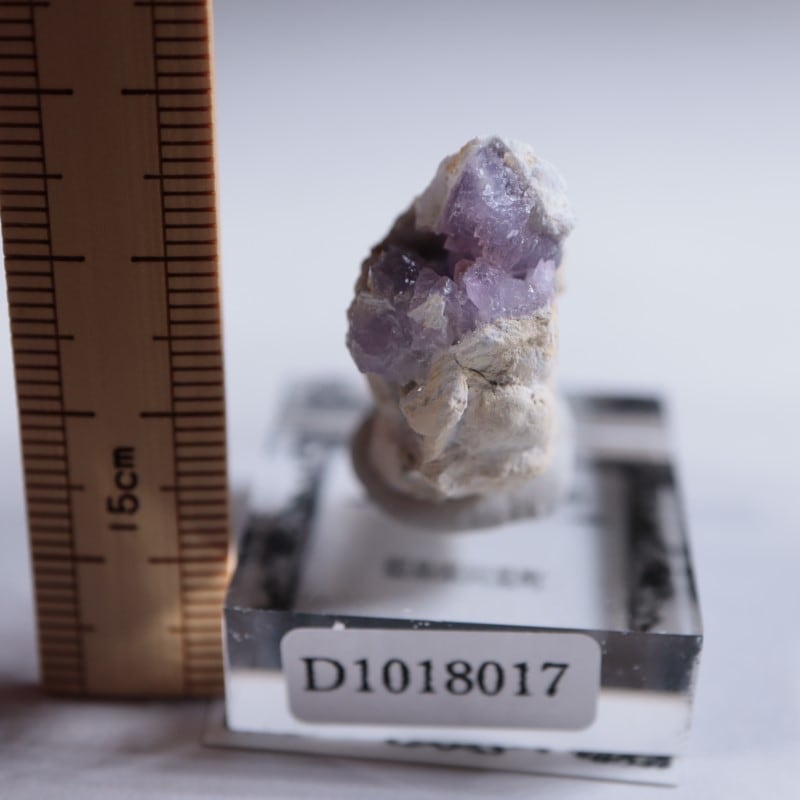 紫音❗️美しい虹あるヒマラヤ水晶✨ かぐや姫水晶 | 鉱物標本,ア行,アメシスト/紫水晶 | ほたるみねらる